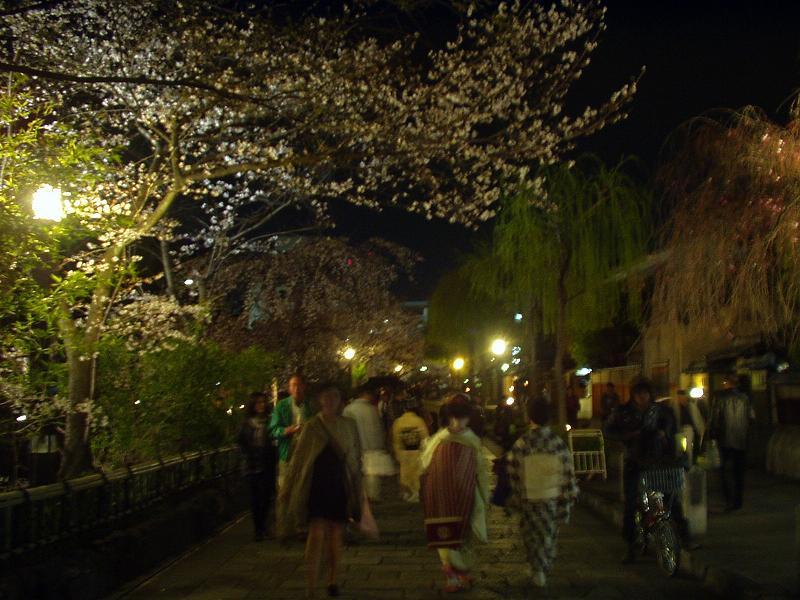 祇園白川の夜桜２